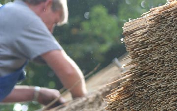 professional Stanford Bishop thatchers